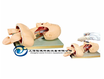 高級人體氣管插管訓練模型
